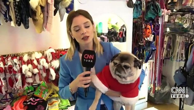 Evcil hayvanlara çip zorunluluğu