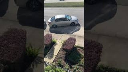Parallel Parking Proves A Challenge