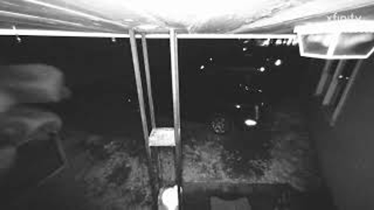 Inflatable Elephant Blows Away