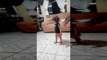 Quarreling Canines Barrel Into Child