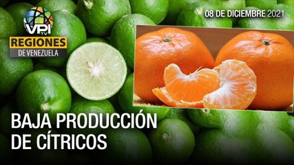 Noticias regiones de Venezuela - Miércoles 08 de Diciembre