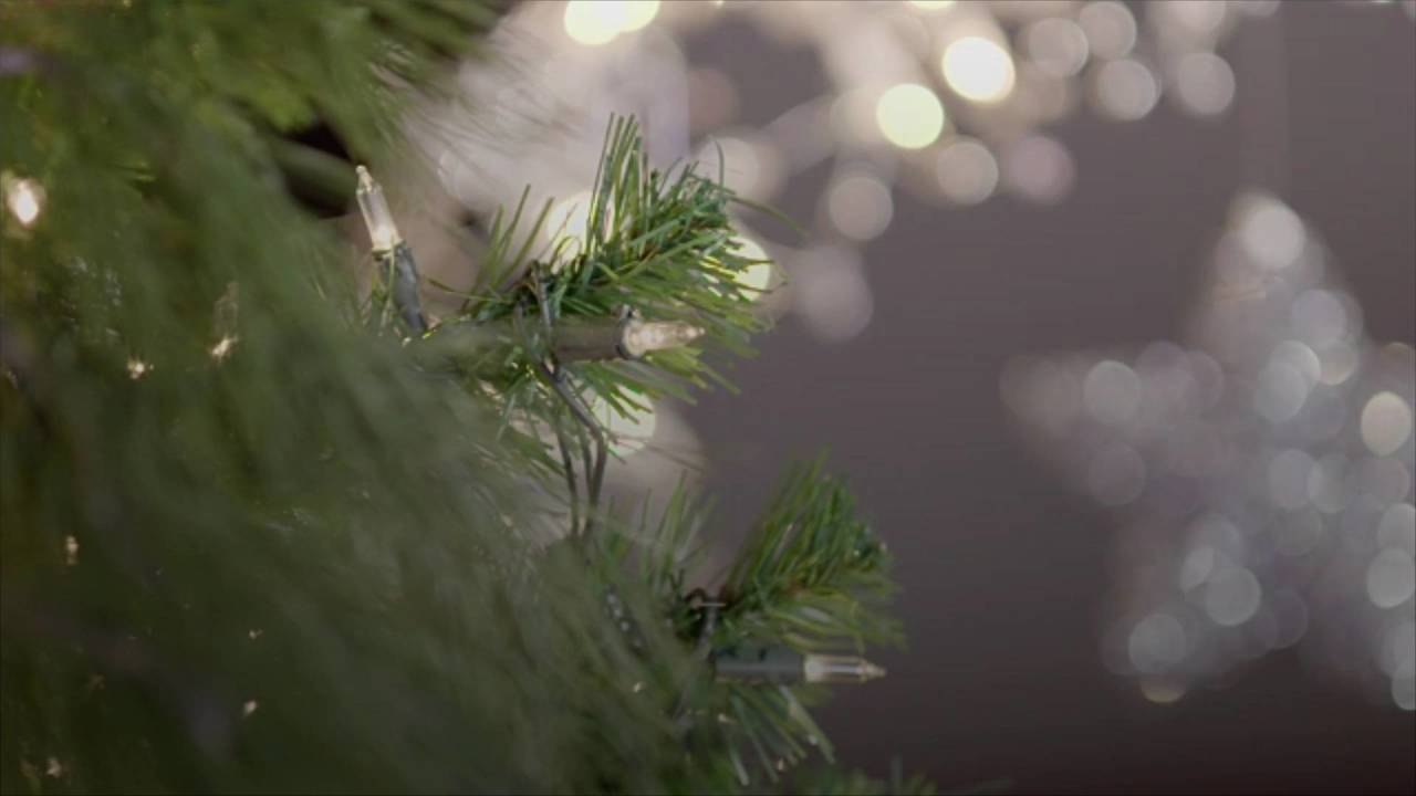 Virginia Military Families Receive Free Christm...