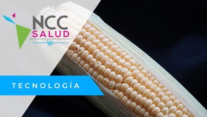 Venezuela importa el 50% del maíz para satisfacer la demanda nacional