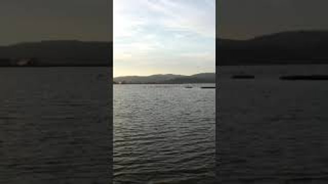 Pink Flamingos Walk Through Lake in Turkey