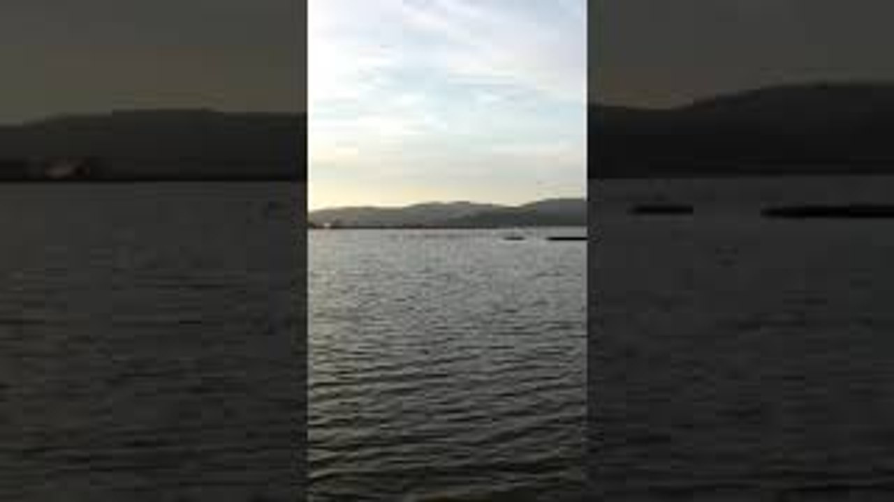 Pink Flamingos Walk Through Lake in Turkey