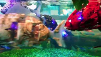 Pasé la Noche en el Primer Hotel Robot del Mundo  (Hotel más Extraño de Japón)