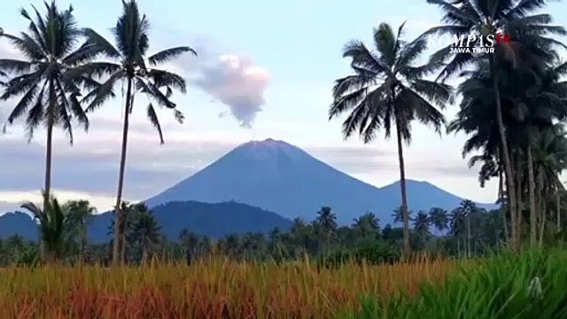 Situasi Gunung Semeru Kamis Pagi, Asap Putih dan Lava Pijar Masih Terlihat