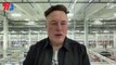 Elon Musk: Brain chips in humans next year with Neuralink