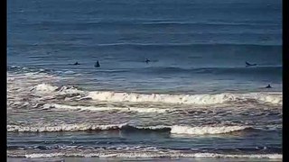Surfing Ocean Beach SF
