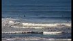Surfing Ocean Beach SF