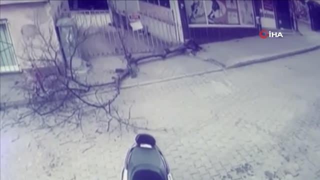 Son dakika! Bursa'da ağacın devrilmesinden kıl yapı kurtulan temizlik işçisi kameralara yansıdı