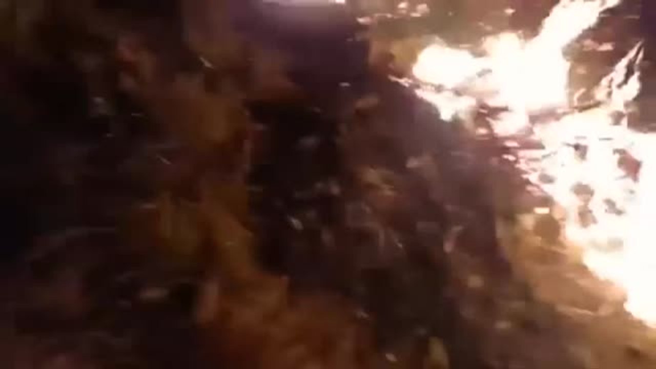 Estabilizado el incendio forestal de Gualchos, en Granada