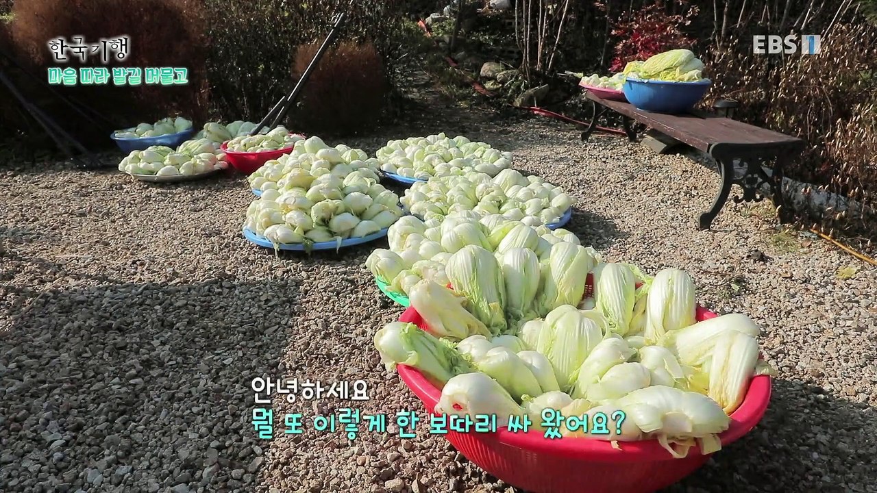 한국기행 - Korea travel_마을 따라 발길 머물고 4부- 도시 떠나 시골스테...
