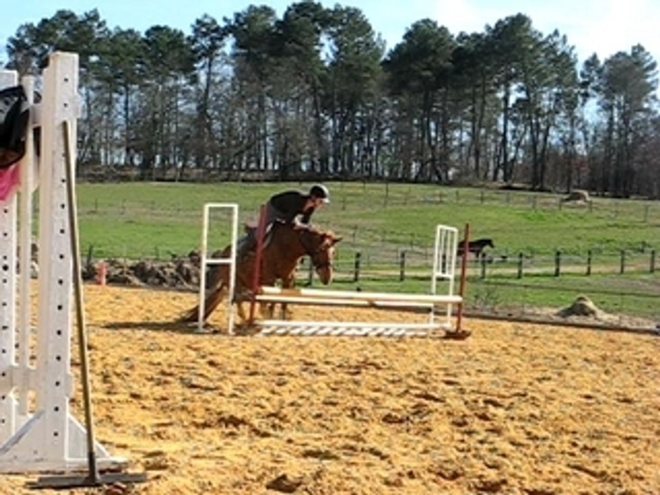 THE chute