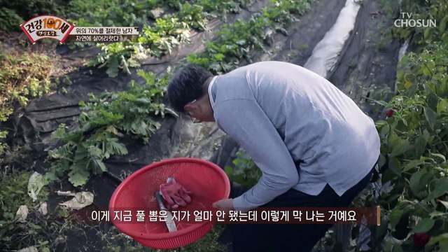 위암을 극복! 직접 키운 야채로 만든 건강 밥상 TV CHOSUN 211209방송