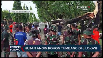 Akibat Cuaca Buruk Di Sorong Pohon Tumbang Pada 8 Lokasi