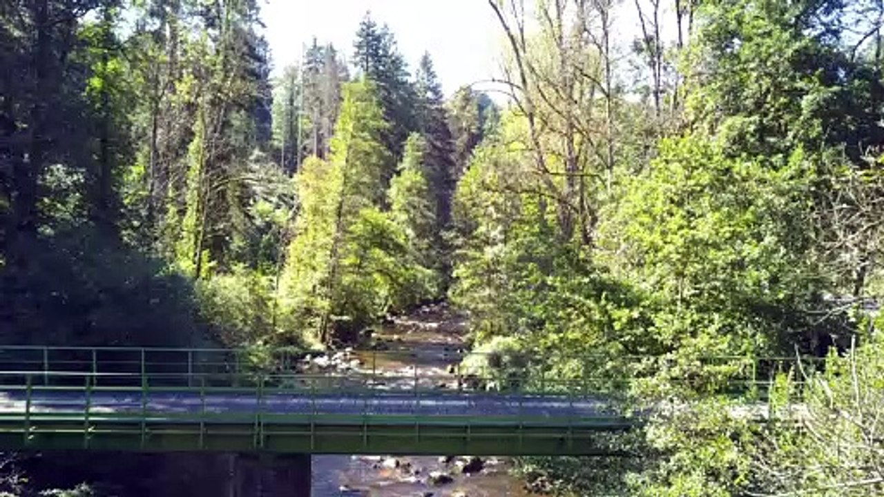Au cœur des Parcs Naturels Régionaux d’Auvergne-Rhône-Alpes - le 10/12 à 20h50