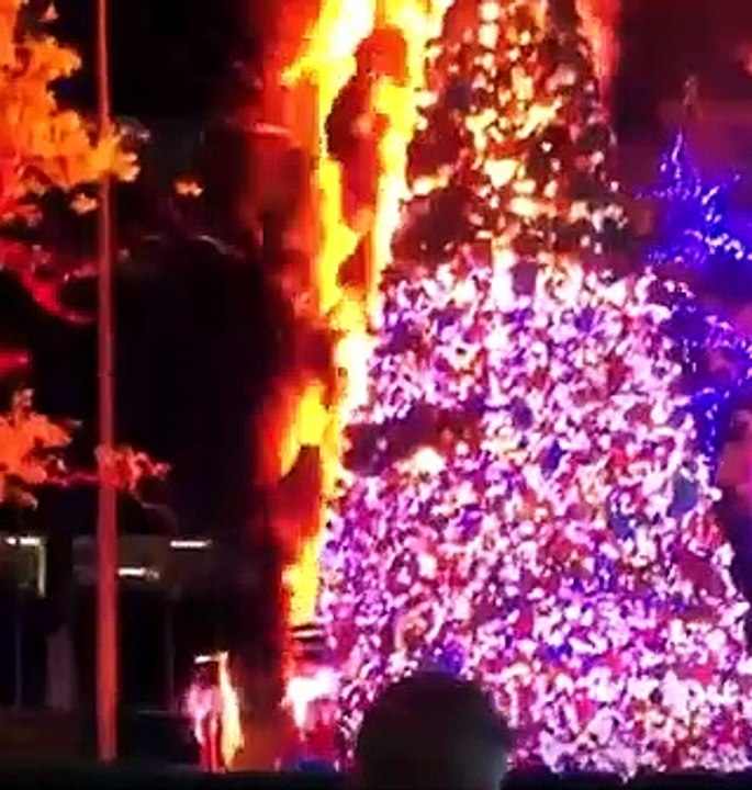 Incêndio árvore de Natal