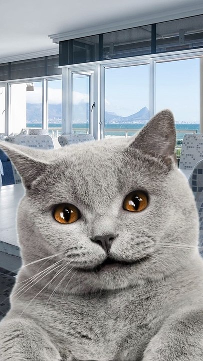 Weisst Du wie man einen Trottel neugierig macht? #Shorts