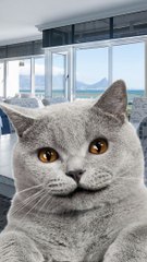 Weisst Du wie man einen Trottel neugierig macht? #Shorts