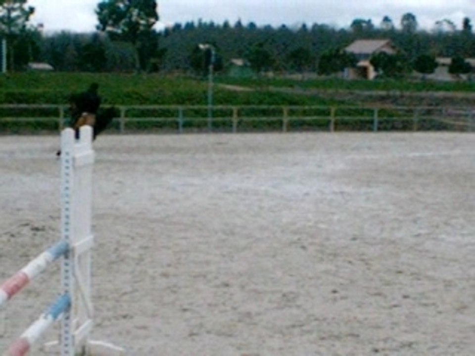 VID0036