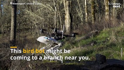 Stanford engineers have taken a leaf out of nature’s book to build this bird robot