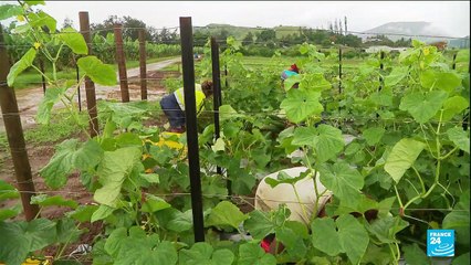 Référendum en Nouvelle-Calédonie : un troisième scrutin sur l'indépendance contestée