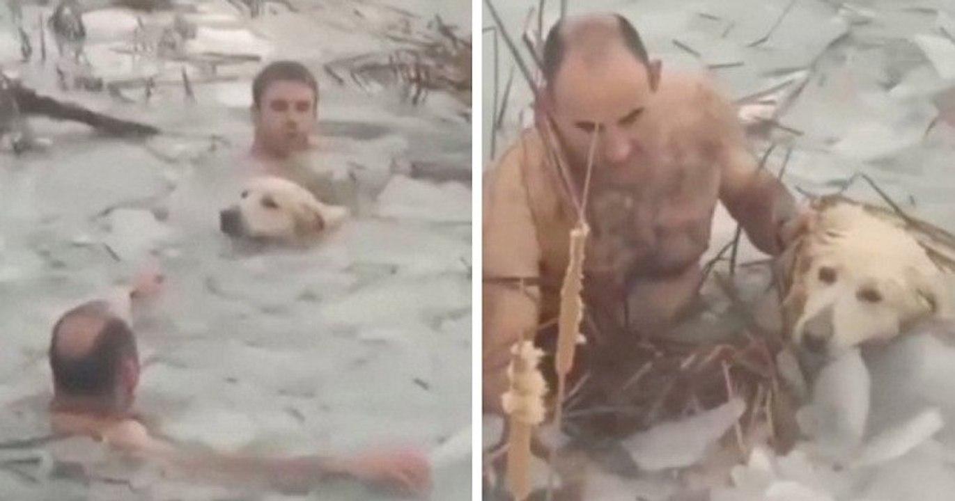 Espagne : deux policiers secourent un chien tombé dans l'eau gelée