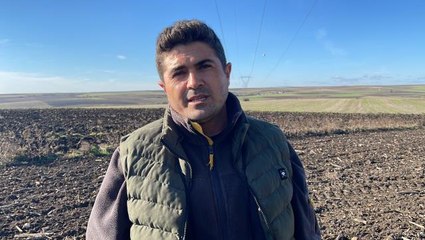 Trakya'da ekosistemin bozulması şah kartallarının yuva yapma alışkanlığını değiştirdi