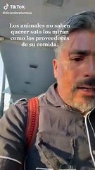 Hombre pasea con gallo