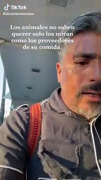 Hombre pasea con gallo