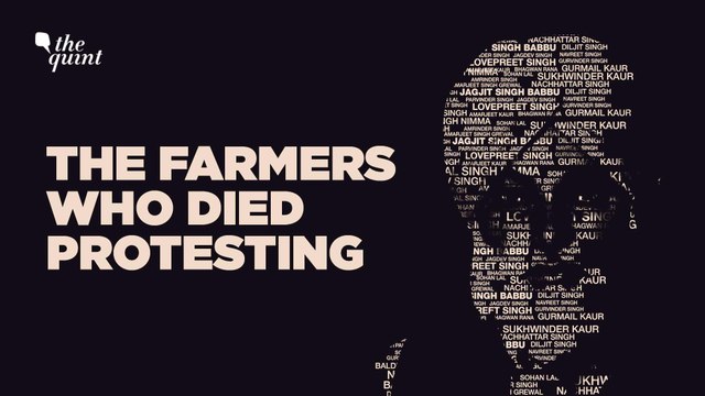 Farmers Protest | Over 680 Farmers Died During Protests; ‘No Record’ Says Govt