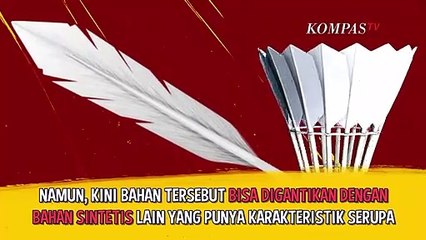 Serba-serbi Shuttlecock Bulu Tangkis, Berapa Jumlah Bulunya?