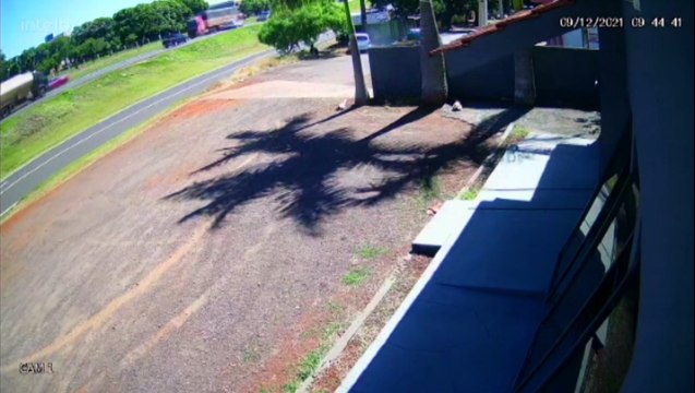 Vídeo mostra momento em que motorista bate carro contra poste após fugir da PRF