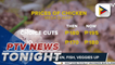Prices of frozen pork, chicken, fish and vegetables up while local pork prices went down | via @Clay Pardilla