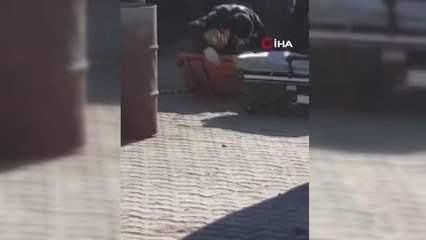 Şiddet gören kızını korumaya çalışırken canından oldu