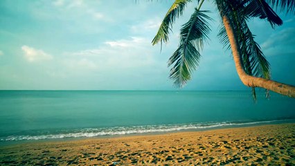 Beach Sounds for Sleeping 2021 (Fall Asleep Fast)