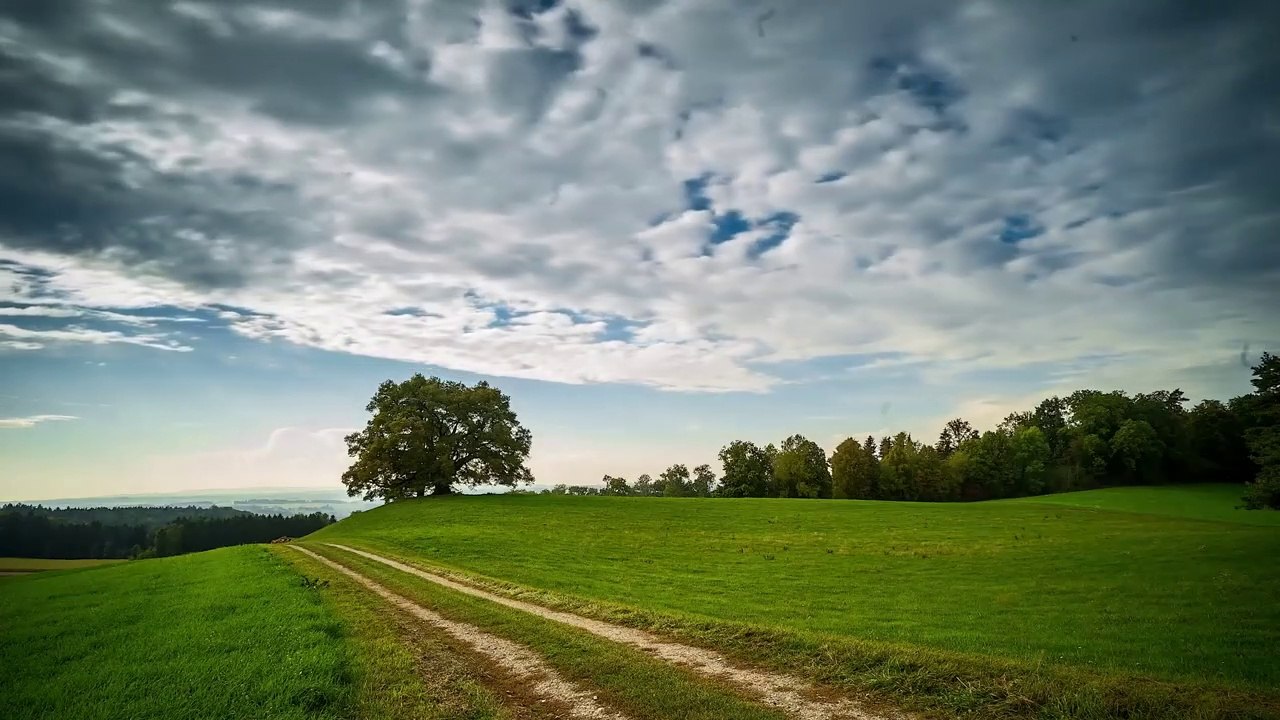 Time-Lapse- Beauty Of Nature - Drone View - Colors of Nature - Free HD Videos
