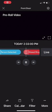 Small Lizard Bites Boy's Finger and Won't Let Go