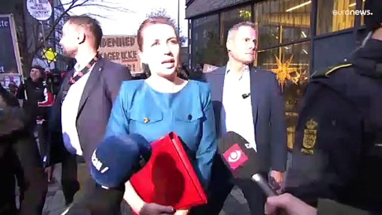 Nerzkeulung in Dänemark: Frederiksen verteidigt Entscheidung vor Kommission