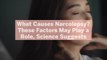 What Causes Narcolepsy? These Factors May Play a Role, Science Suggests