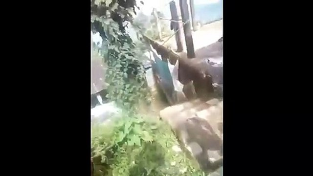 Chàng trai bị ong làm tổ đúng “chỗ hiểm”