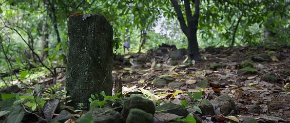 CHURULI MOVIE OFFICIAL TRAILER | Lijo Jose Pellissery