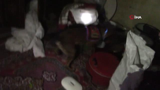 Son dakika haberi | Kars'ta jandarma suç örgütünü çökertti