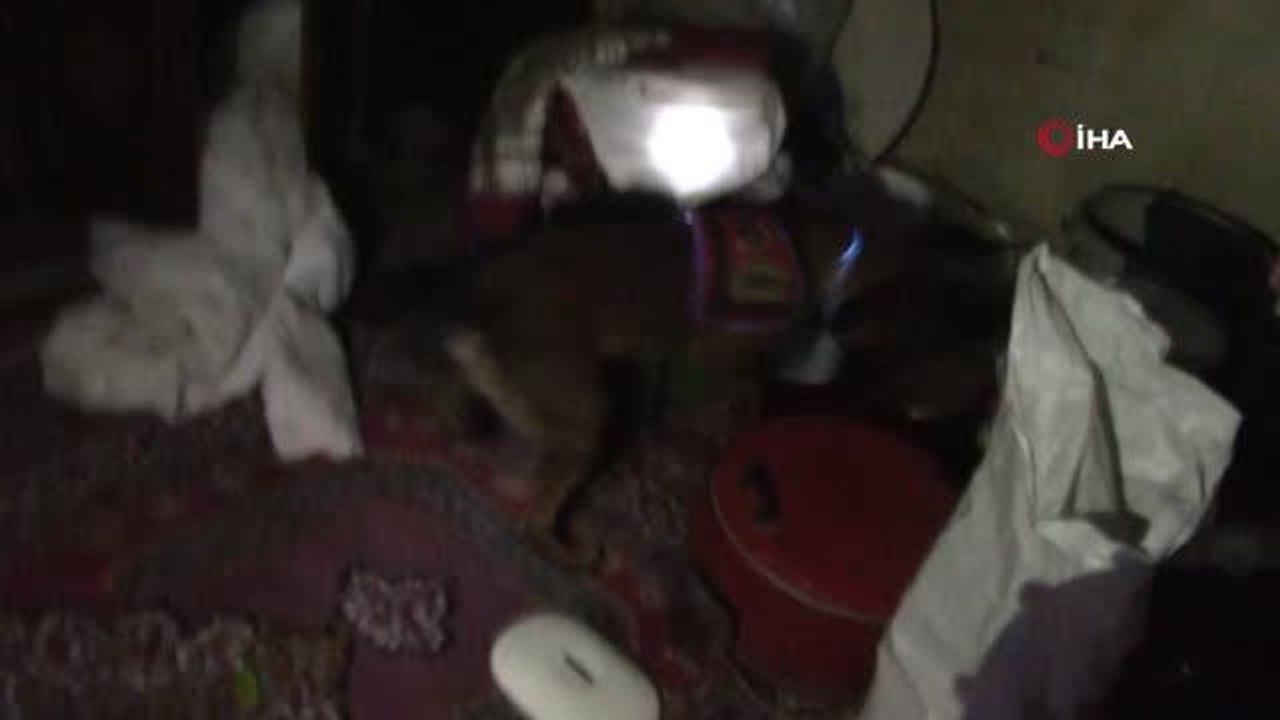 Son dakika haberi | Kars'ta jandarma suç örgütünü çökertti