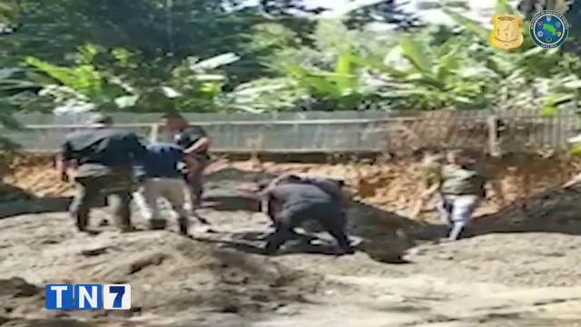 tn7-decomiso-limon-091221