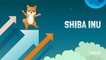 What Is Shiba Inu?