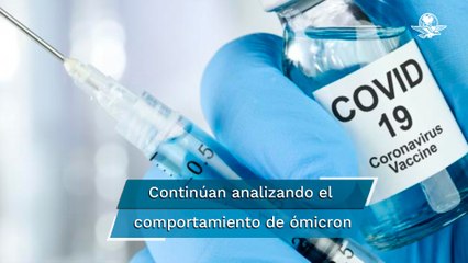 Inmunidad de las vacunas antiCovid dura 6 meses, confirma la OMS