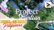 SPECIAL FEATURE | Project Luntian