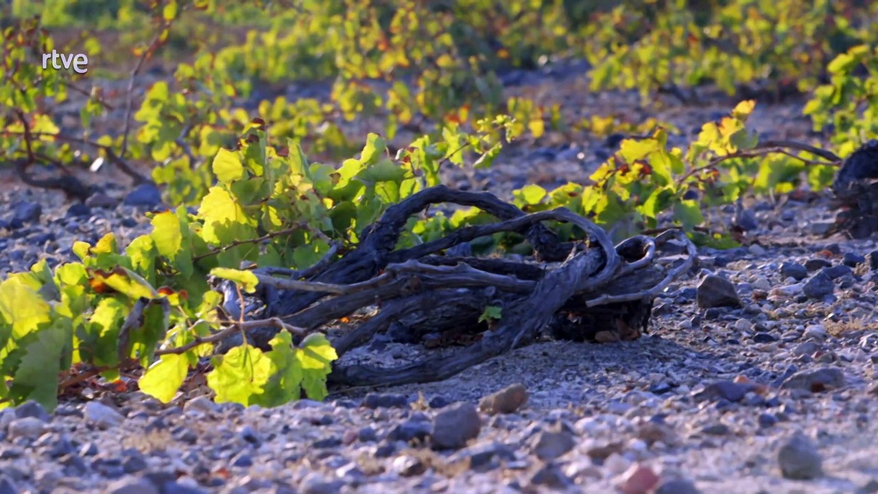 Las islas griegas con Julia Bradbury 03- Santorini